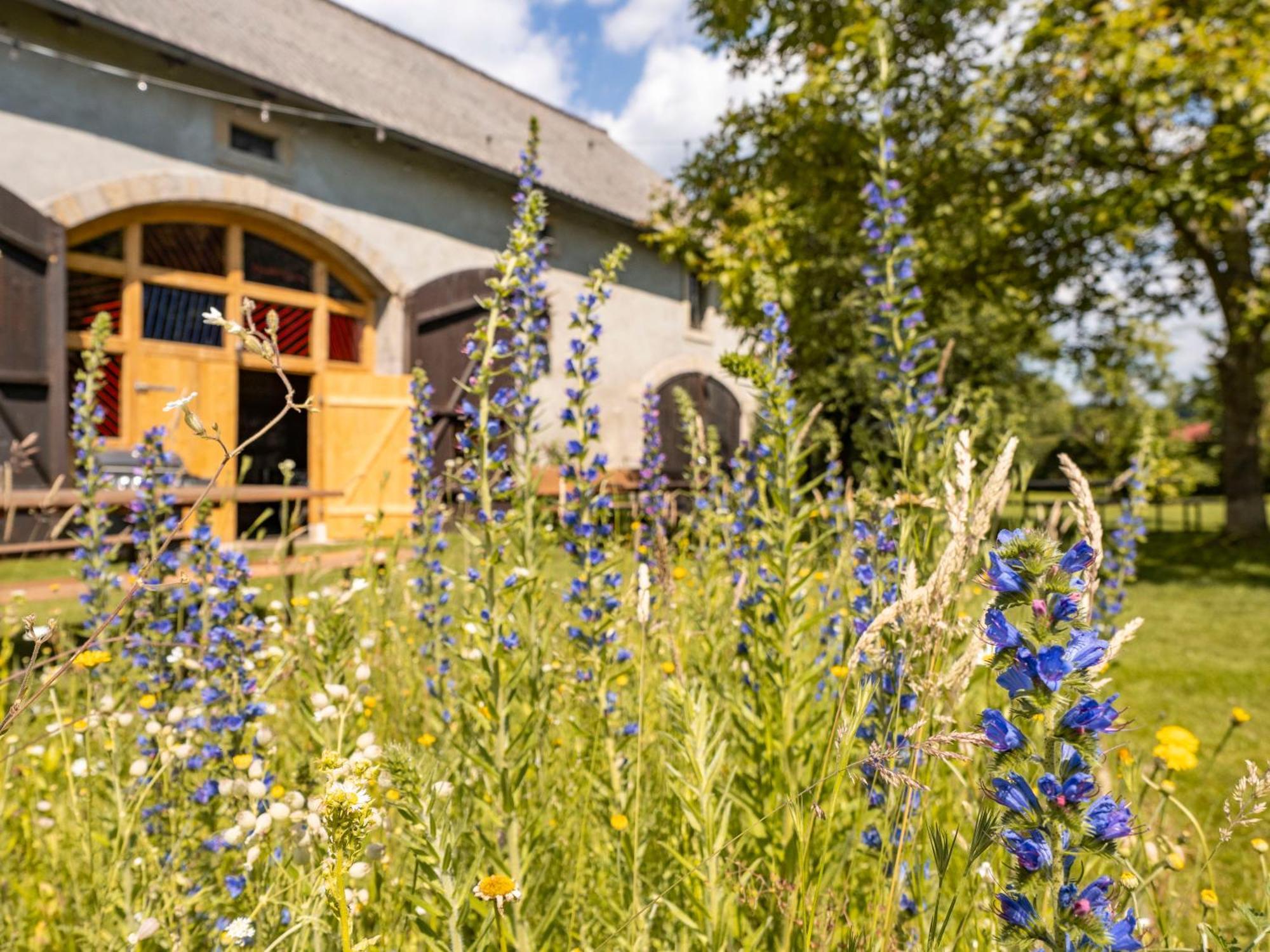 Hinterland Hostel 库洛特拉森 外观 照片